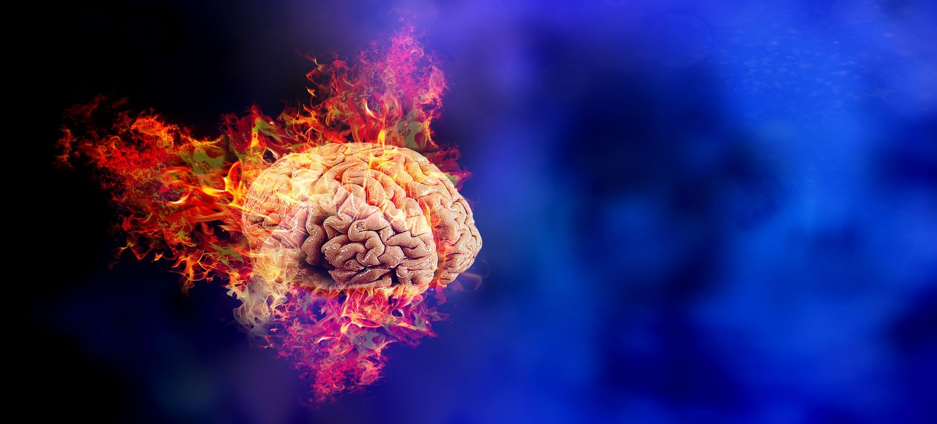 burning human brain.concept